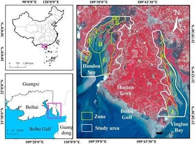 Evaluation of mangrove restoration effectiveness using remote sensing indices - a case study in Guangxi Shankou Mangrove National Natural Reserve, China